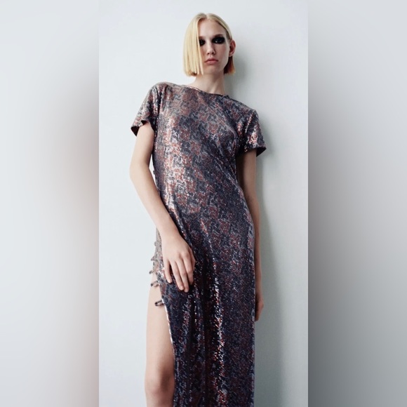 Zara Dresses & Skirts - NWT ZARA Metallic Silver + Color Sequin Maxi Dress w/ Cut Outs Size Small $70
